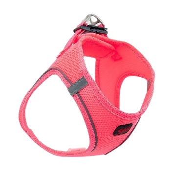 Tailpetz Air Mesh Köpek Göğüs Tasması (L) Neon Pembe - 1