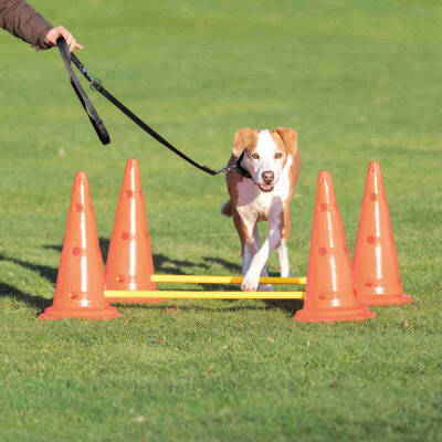 Trixie Köpek Agility Oyuncağı 2 Ad 30X50cm 100cm - 1